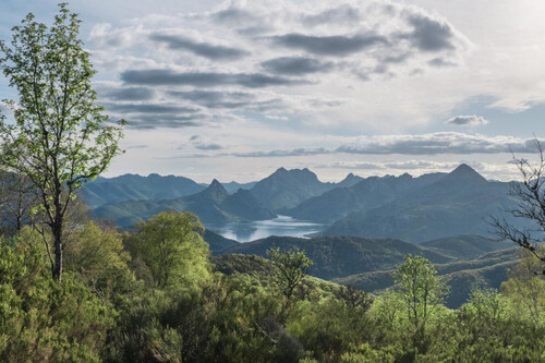 Tierras Reina