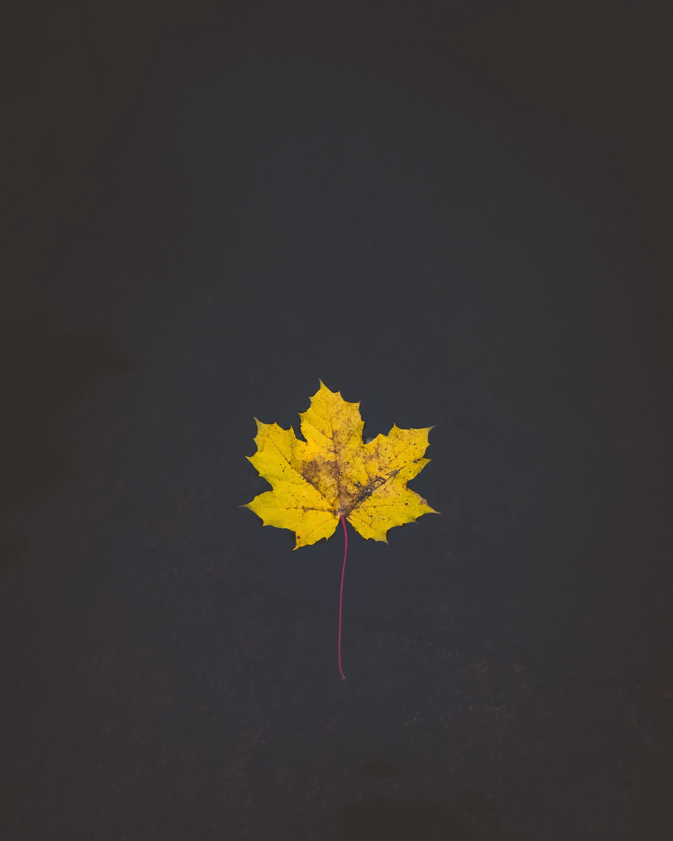 Foto de Fondos minimalistas (21/25)