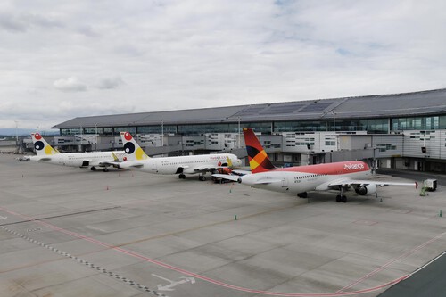 Bienal Arte Bogota 6 1