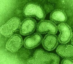No hay virus. ¿Los habrá?