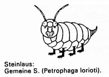 La historia del insecto que comía piedras que nunca existió