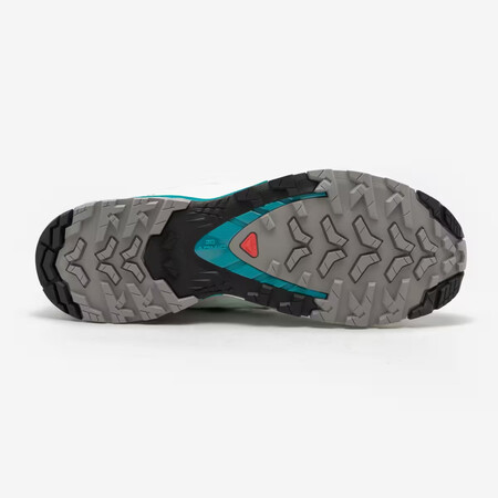 Zapassalomon3