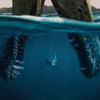 El último gran éxito de Netflix se ha colocado en el Top 1 en más de 60 países, pero también está siendo señalado por un grave error que no es tal cosa