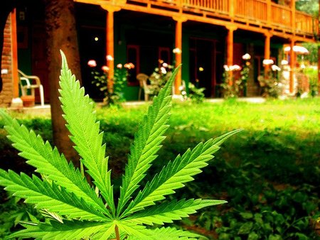 Venta de drogas por Internet