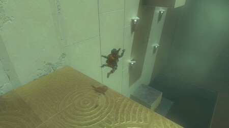 Zeldad TOTK sonapanio 4