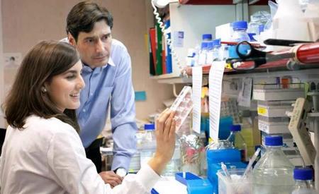Gen anticáncer que combate la obesidad y aumenta la longevidad
