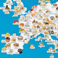 Los quesos más típicos de cada país y cada región del mundo, en este alucinante mapa