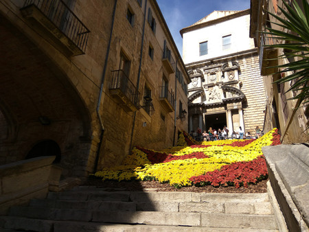 Temps De Flors 2017 3