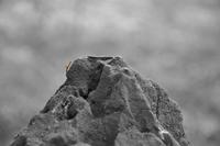 Los ingredientes para estar 300 años en pie como empresa