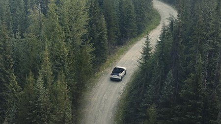RAV4 en el bosque