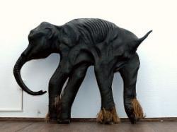 El bebé mamut