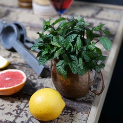 Foto 9 de 11 de la galería muestras-panasonic-lumix-s1r-y-s1 en Xataka Foto