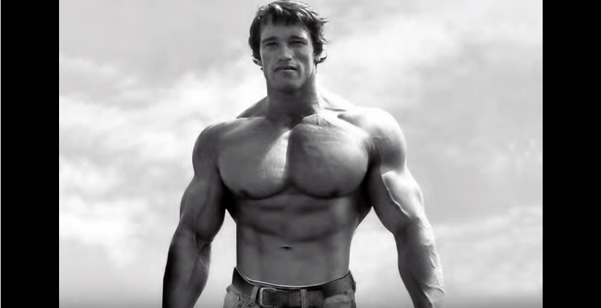 arnold schwarzenegger spiele arnold schwarzenegger spiele