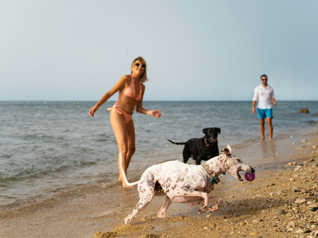 Playas Perros Malaga Costa Sol Petfriendly