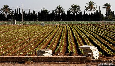¿También hay que salvar a los inversores de la cooperativa de l´Aldea?
