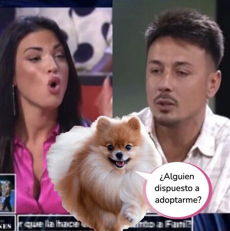 Cristian y Melodie se enzarzan como nunca por la custodia de su perro en 'El Debate de las Tentaciones': los gritos se escucharon por todo Mediaset