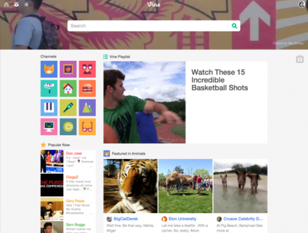 Vine lanza una nueva web que (por fin) accede a todo el servicio