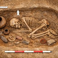 Rumanía necesitaba una nueva autopista y terminó desenterrando un tesoro escondido: tumbas intactas de hace 4.500 años