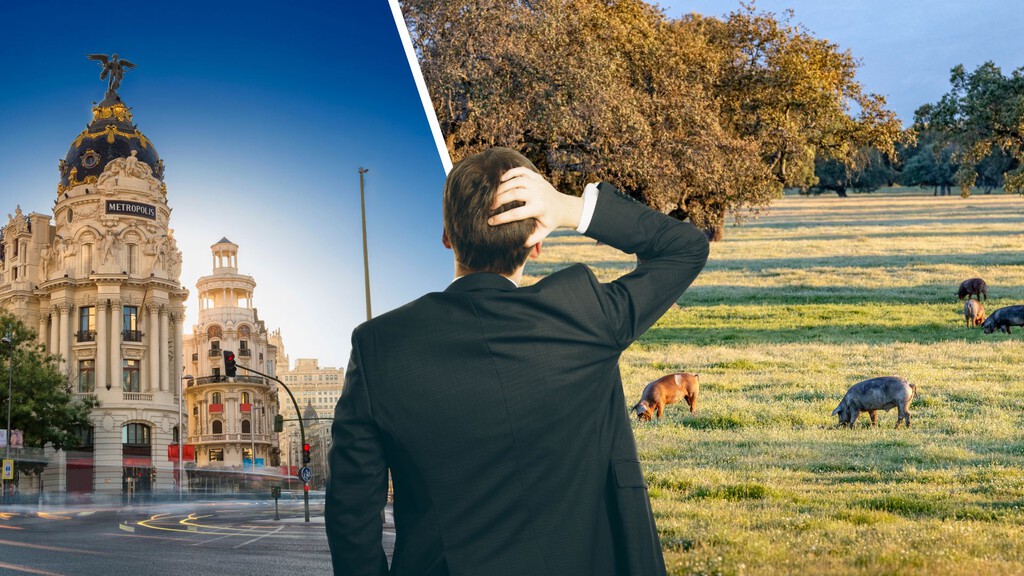 De Extremadura a Madrid o el País Vasco: contratar cuesta 14.000 euros de diferencia dependiendo de la comunidad autónoma