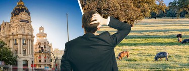 De Extremadura a Madrid o el País Vasco: contratar cuesta 14.000 euros de diferencia dependiendo de la comunidad autónoma