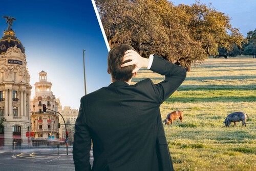 De Extremadura A Madrid O El Pais Vasco Contratar Cuesta 14 000 Euros De Diferencia Dependiendo De La Comunidad Autonoma