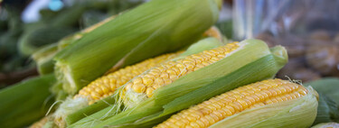 Lo llames choclo, elote o maíz, aquí tienes 17 recetas para aprovechar al máximo su dulzura en la cocina