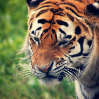 Cómo afrontar los comentarios negativos en redes sociales 