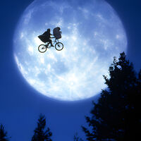 Para ver en streaming: tiene calificaciones perfectas y fue la película más vista de la historia