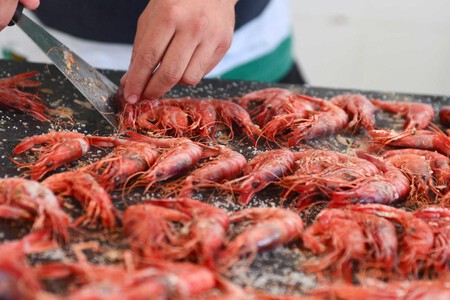 gamba roja