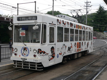 Okayama Electric Tramway 7101 Tama Densya