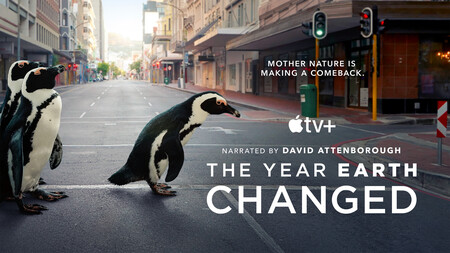 Esta semana en Apple TV+: más fichajes, más episodios y cómo la fauna invadió las calles durante la pandemia