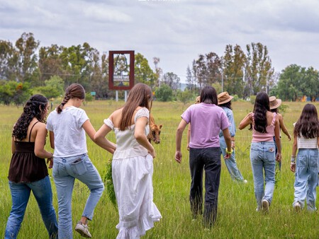Escapada a solo 2 horas de CDMX: llega el Festival de Vinos Conscientes con más de 70 etiquetas, viñedo, hotel y restaurante