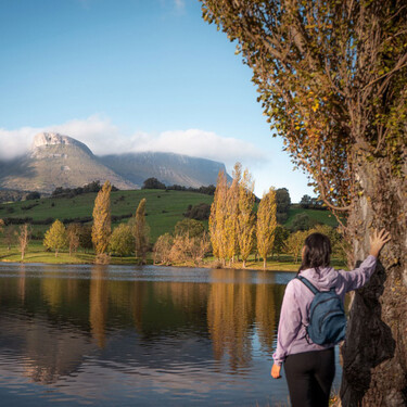 48 horas en el Valle de Ayala: qué hacer y qué comer en  Aiaraldea, uno de los secretos mejor guardados de Álava y del País Vasco