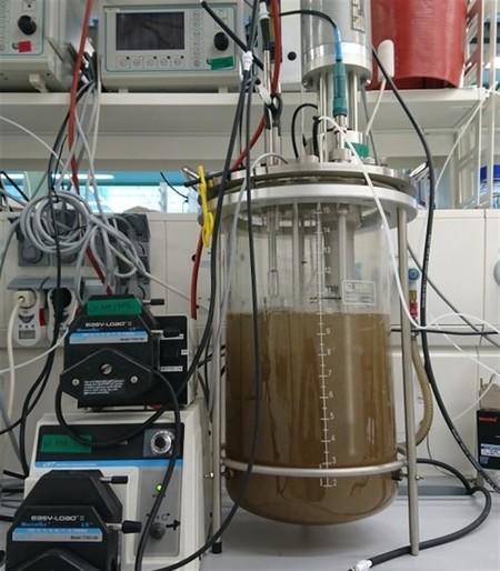 Este microbio podría ser un remedio al calentamiento global: come metano