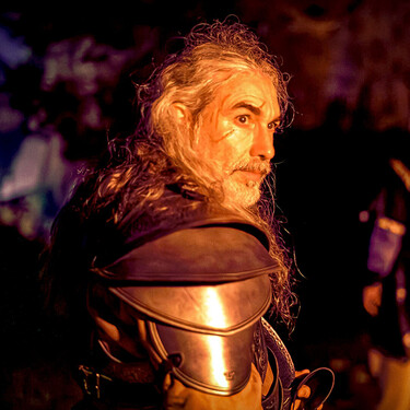 Festival The Witcher