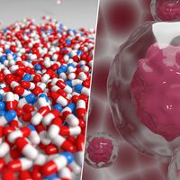 Las células madre iban a revolucionar la medicina. En su lugar, han acabado convertidas en pastillas milagro en Amazon