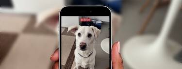 El iPhone tiene tantos ajustes que ya me había olvidado de estos trucazos para la cámara. Es perfecto para ráfagas y vídeos rápidos 