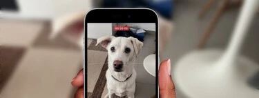 El iPhone tiene tantos ajustes que ya me había olvidado de estos trucazos para la cámara. Es perfecto para ráfagas y vídeos rápidos 