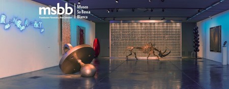 Visita al Museo Sa Bassa Blanca: naturaleza, arte y arquitectura en Alcúdia, Mallorca
