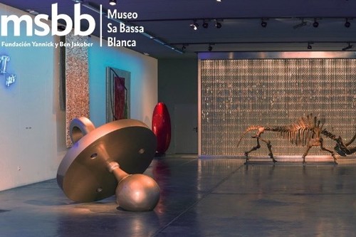 Visita al Museo Sa Bassa Blanca: naturaleza, arte y arquitectura en Alcúdia, Mallorca 