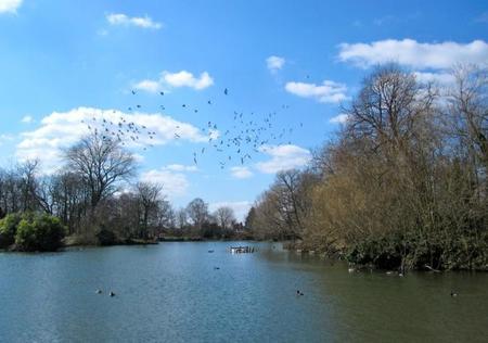 Lago Alexandra Park