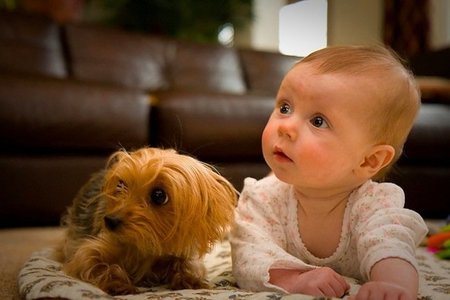 ¿Están más sanos los niños que conviven con perros?