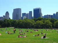 Nueva York: finalmente se prohíbe fumar en algunos espacios públicos