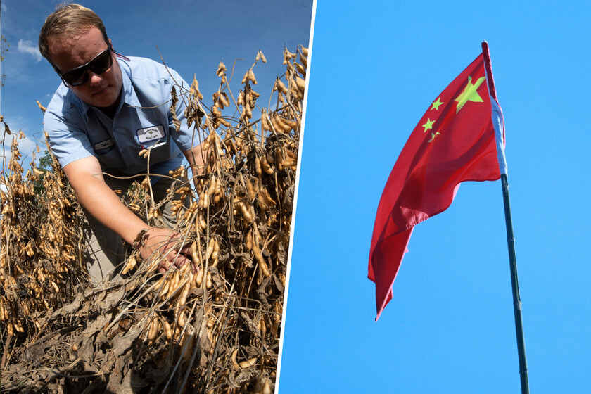 China llevaba años comprando toneladas y toneladas de soja a EEUU. Un país ha salido ganando en su lugar: Brasil