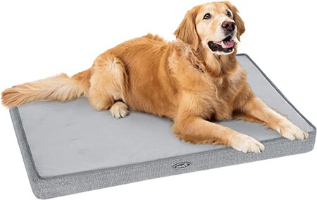 Pecute Cama Perros
