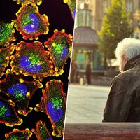 Hemos encontrado el "interruptor" del envejecimiento celular. El secreto se llama proteína AP2A1