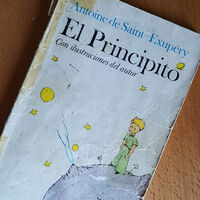 Es el libro que marcó mi infancia y el que menos imaginaba para una película de actores reales. Resulta que hay una en marcha