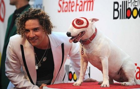 Bisbal, El Canto del Loco, Soraya, Edurne, Aute y Ana Torroja apoyan la doctrina ACTA