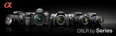 Rumor: Nuevas Sony A230, A330 y A380