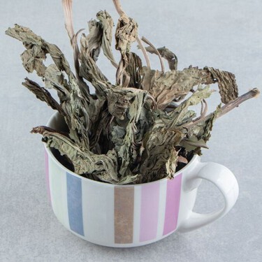 El truco casero que revive tus plantas marchitas en 15 días: solo necesitas cúrcuma